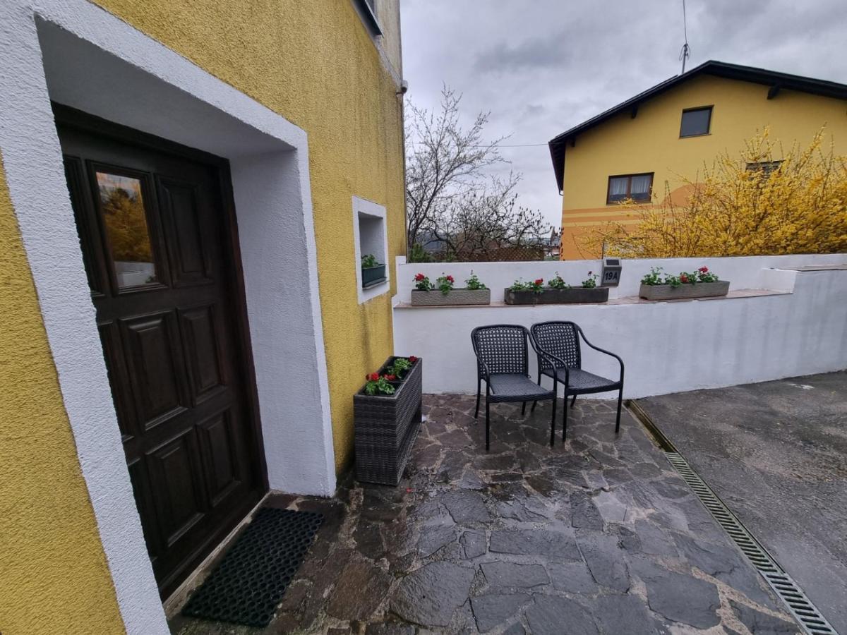 Pension Donaublick Grein 2 In Stifterstrasse 19A Eksteriør bilde