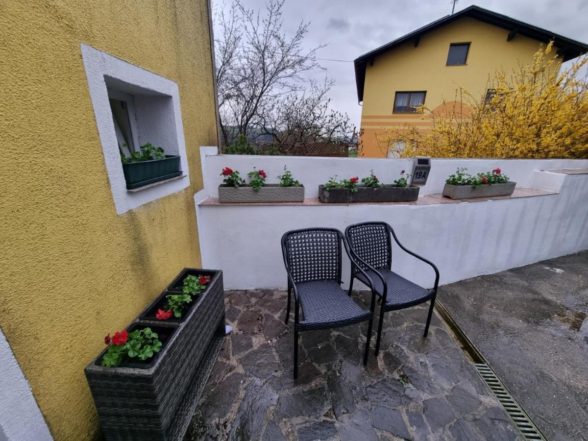 Pension Donaublick Grein 2 In Stifterstrasse 19A Eksteriør bilde