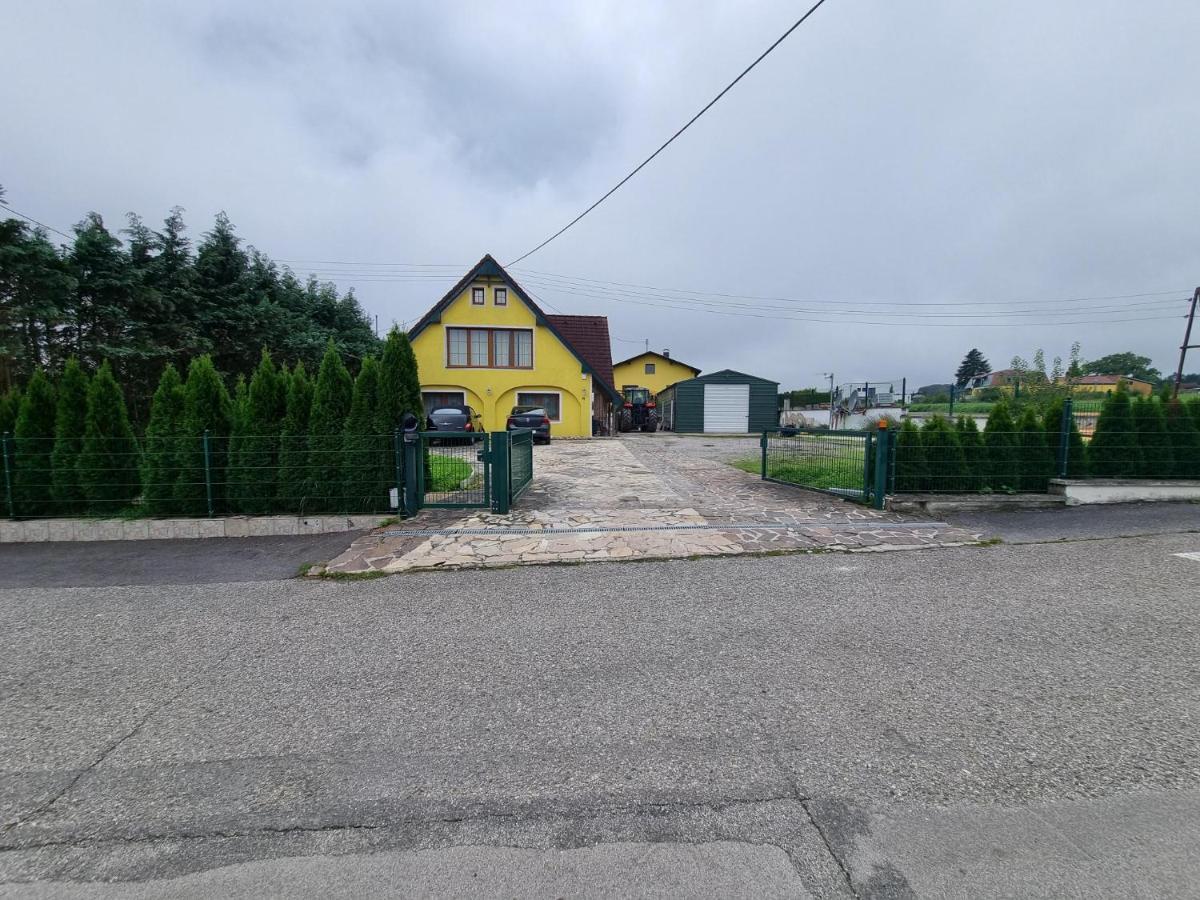 Pension Donaublick Grein 2 In Stifterstrasse 19A Eksteriør bilde