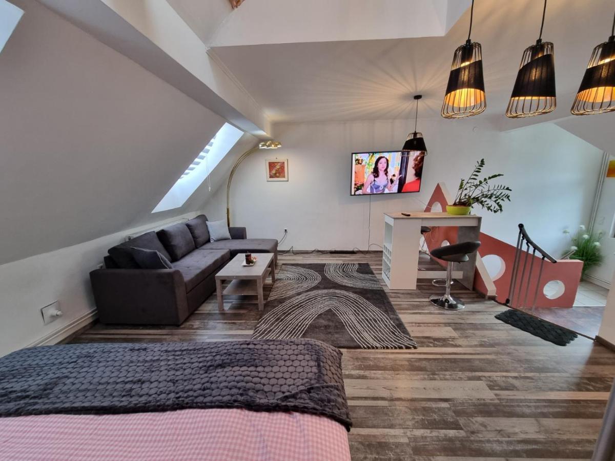 Pension Donaublick Grein 2 In Stifterstrasse 19A Eksteriør bilde